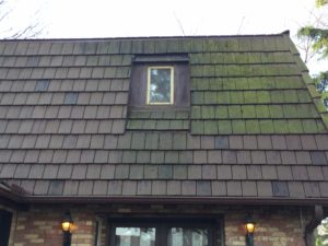 Cleaning Concrete Tile Roof Waukesha