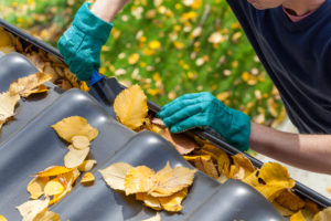 fall roof maintenance